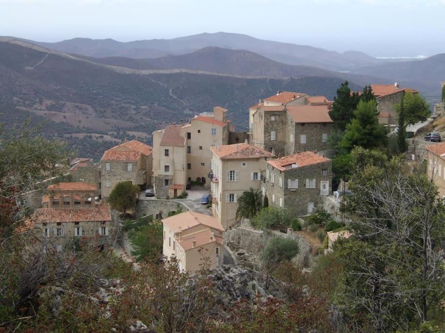 Vos Vacances A Lama France Corse Exteriör bild