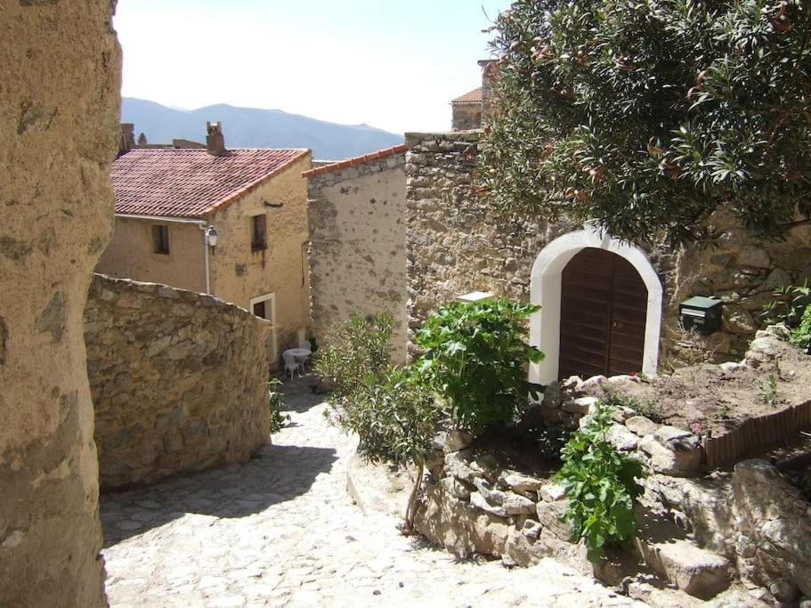 Vos Vacances A Lama France Corse Exteriör bild