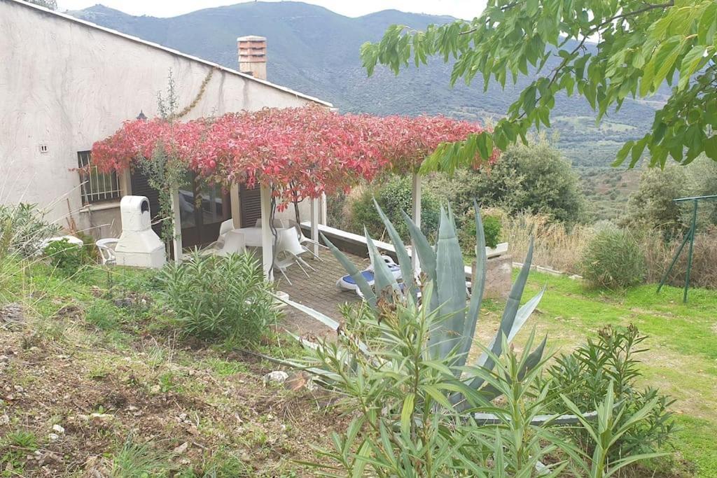 Vos Vacances A Lama France Corse Exteriör bild