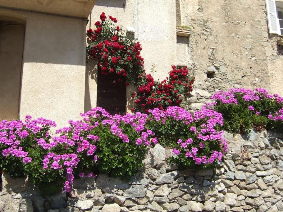 Vos Vacances A Lama France Corse Exteriör bild