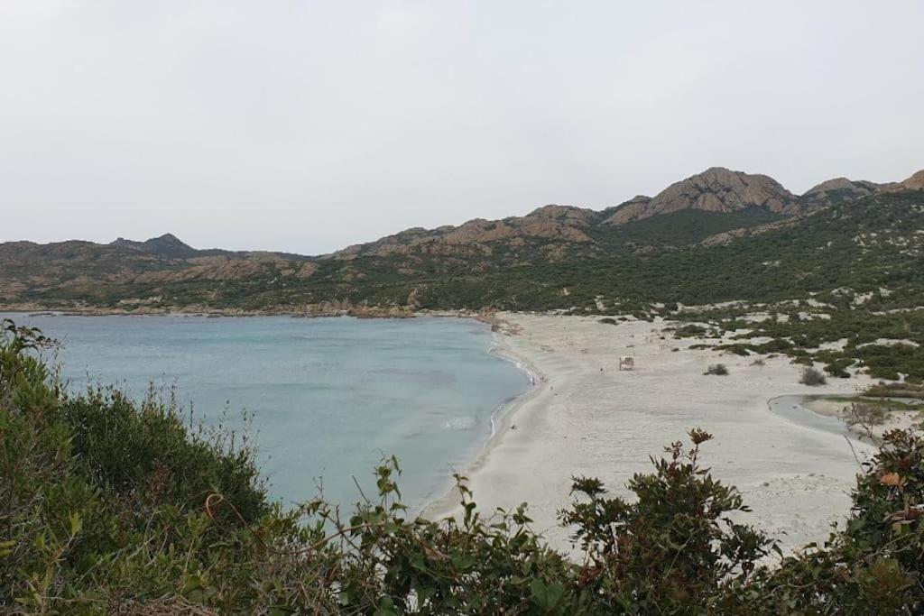 Vos Vacances A Lama France Corse Exteriör bild