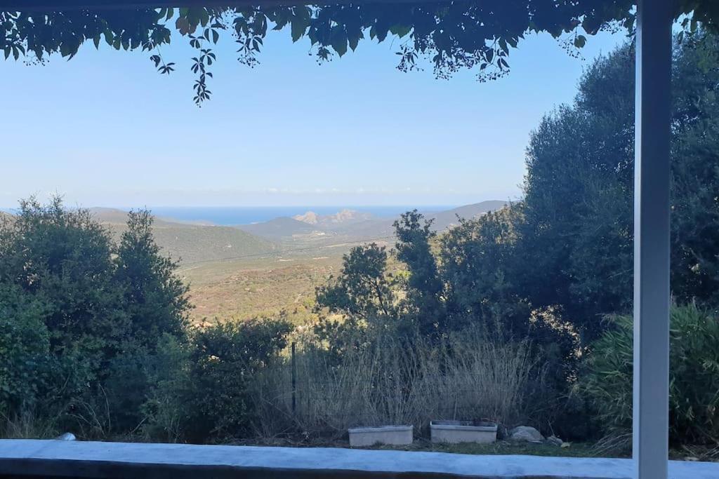 Vos Vacances A Lama France Corse Exteriör bild