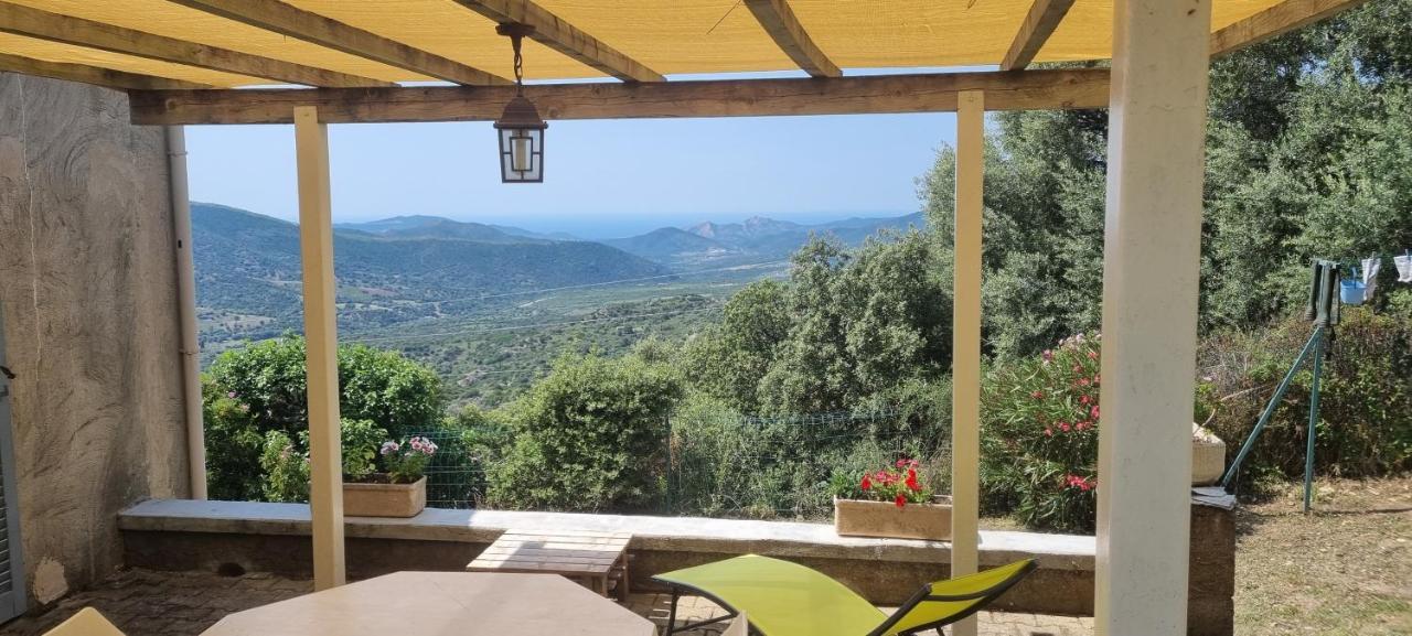 Vos Vacances A Lama France Corse Exteriör bild